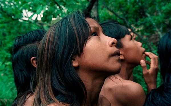 Crowrã – The Buriti Flower