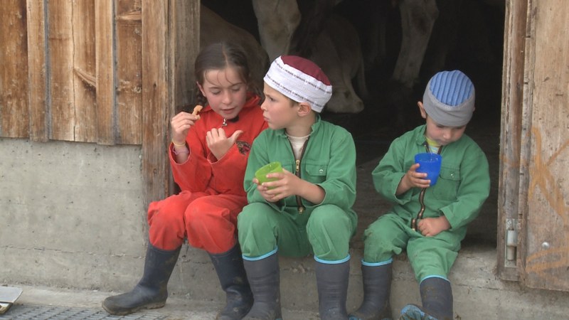 Kühe, Käse und drei Kinder